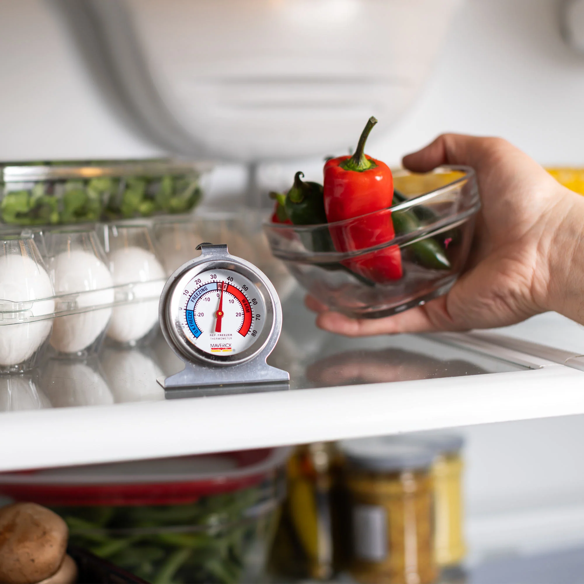 Refrigerator/Freezer Thermometer - Image 4